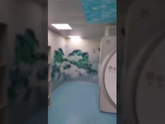 Cuboid Military Magnetic Faraday Cage MRI Imaging Magnetic Field Faraday Cage