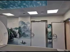 Silver Faraday Cage MRI for Laboratories The Ultimate Shielding Solution